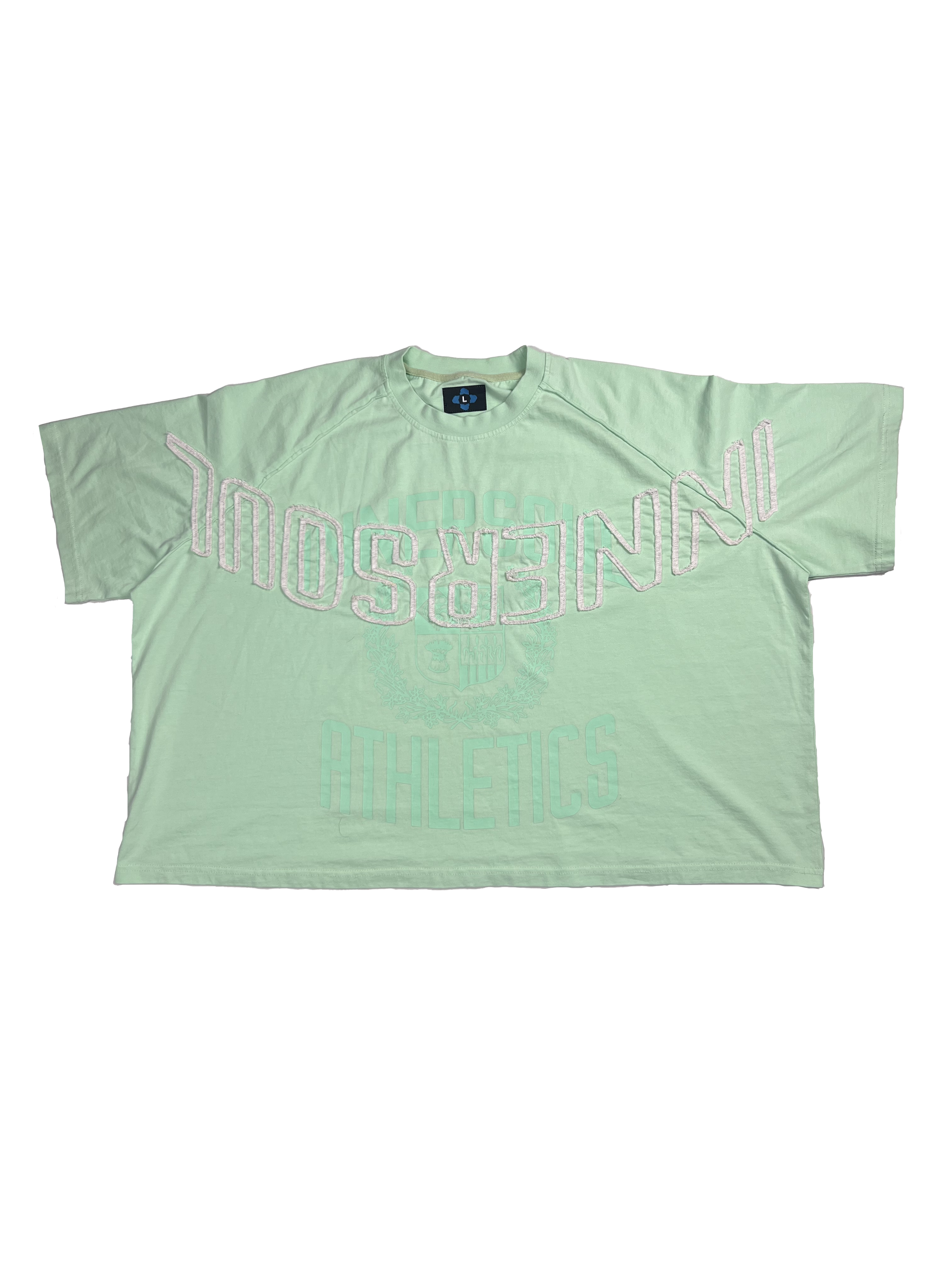 innersoul athletics boxy tee (mint)