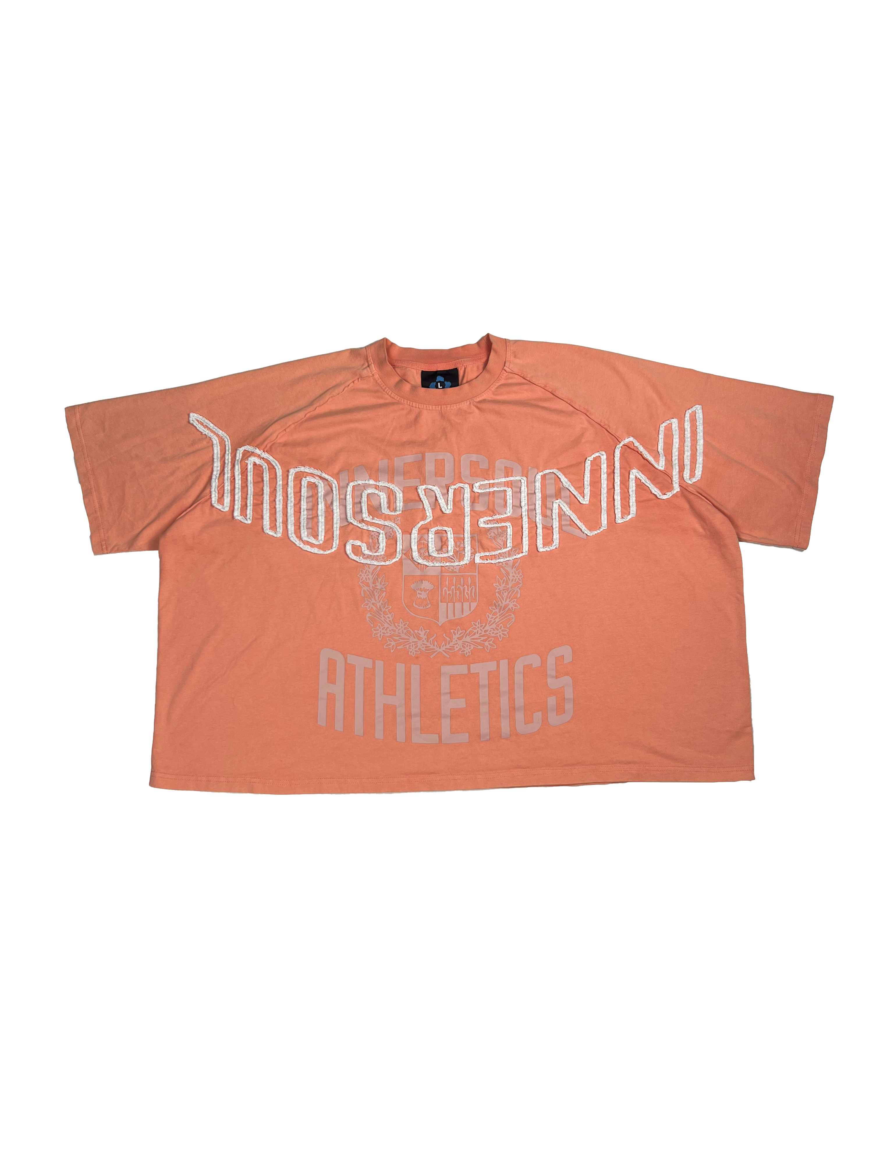 innersoul athletics boxy tee (salmon)